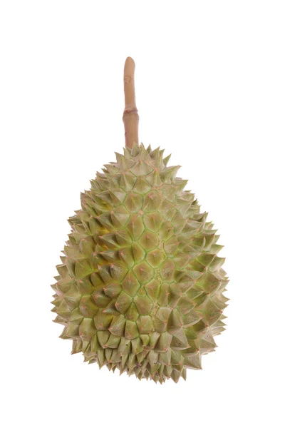 Durian fruit — Stock Photo, Image