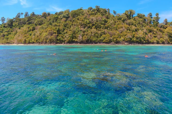 Schnorcheln in einem Meer in Thailand — Stockfoto