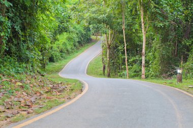 eğri yol