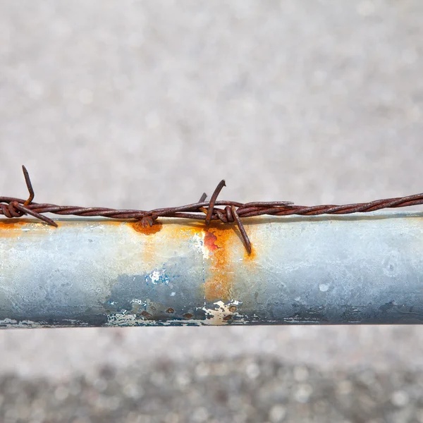 Roestige prikkeldraad op een metalen buis — Stockfoto