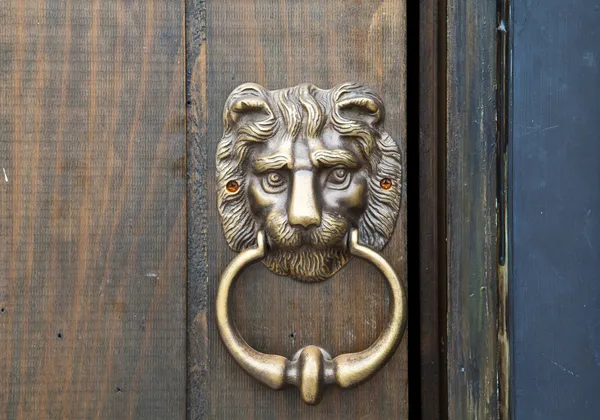 Bronze door knob "Lion head" — Stock Photo, Image