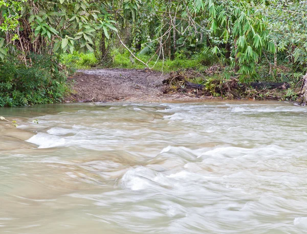 Cascada a través de la pasarela en el bosque — Foto de Stock