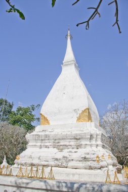 Beyaz pagoda Tayland