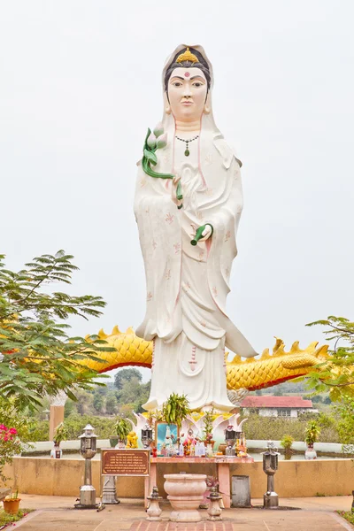 Weißes quan yin strömt aus ihrem riesigen — Stockfoto