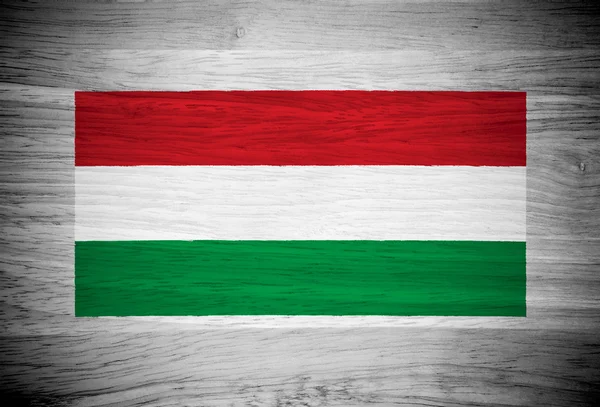 Bandeira da Hungria em textura de madeira — Fotografia de Stock