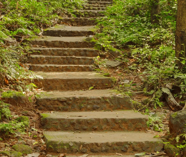 Oil Painting stone stairs in the forest — Stock Photo © Max5799 69323465