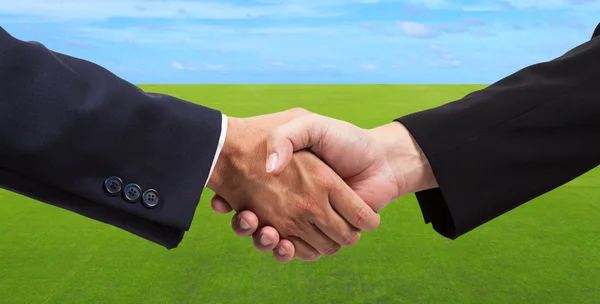 Affärsman handslag på grönt gräs fält och blå himmel — Stockfoto