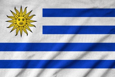 Uruguay bayrağı karıştırdı