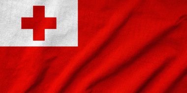 Tonga bayrak karıştırdı