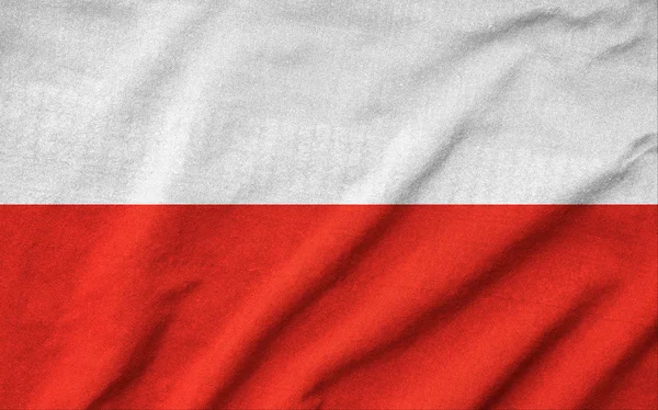 폴란드 국기를 물결이 일 게 한 — 스톡 사진