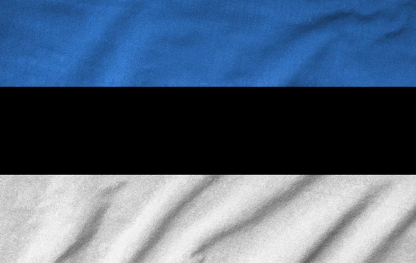 Gekräuselte estnische Flagge — Stockfoto