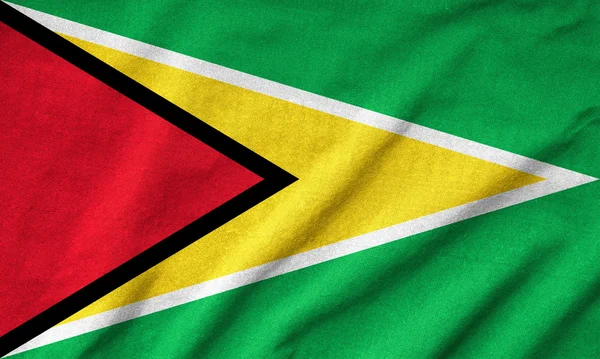 Fodros Guyanai zászló — Stock Fotó