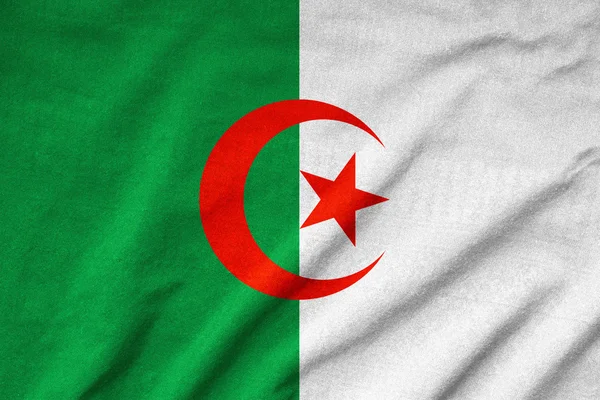 Potargane flaga Algierii — Zdjęcie stockowe