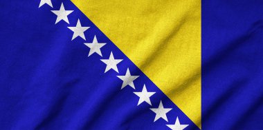 Bosna-Hersek bayrağı karıştırdı