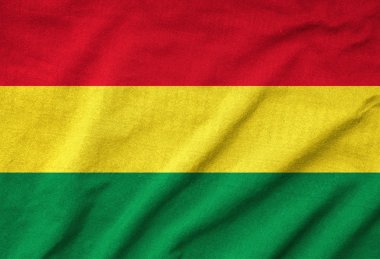 Bolivya bayrak karıştırdı