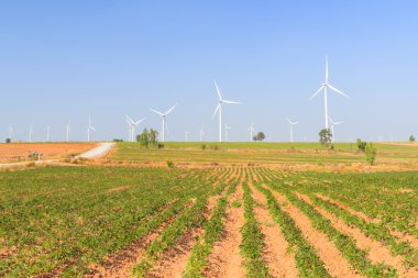 Rüzgar türbini güç jeneratörü