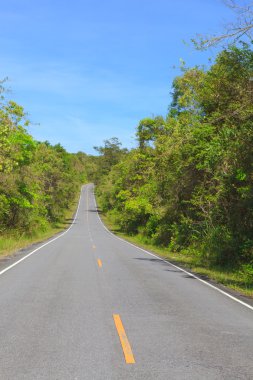 Forest Road