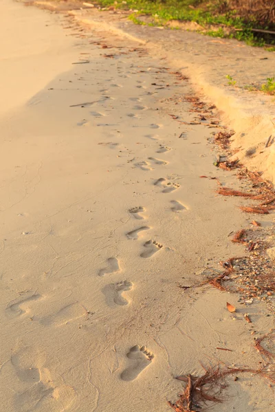 Footsteps on the beach — Stock Photo, Image