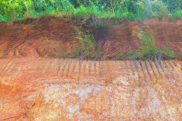 토양 구조 — 스톡 사진