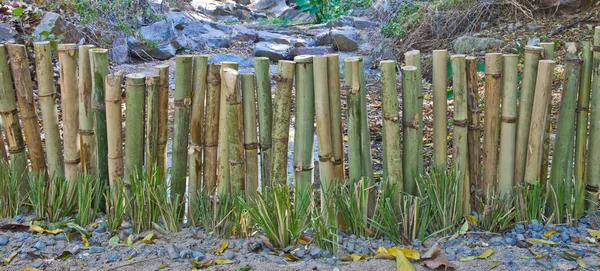 Bambustaket — Stockfoto