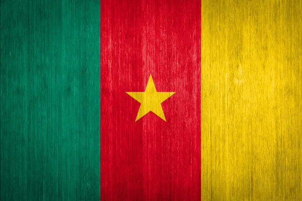 Camerun Bandiera su sfondo legno — Foto Stock