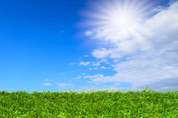 Césped artificial bajo el cielo azul — Foto de Stock