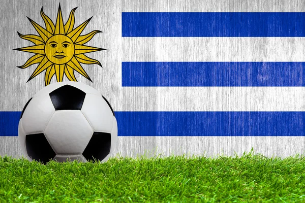 Balón de fútbol sobre hierba con fondo de bandera de Uruguay —  Fotos de Stock