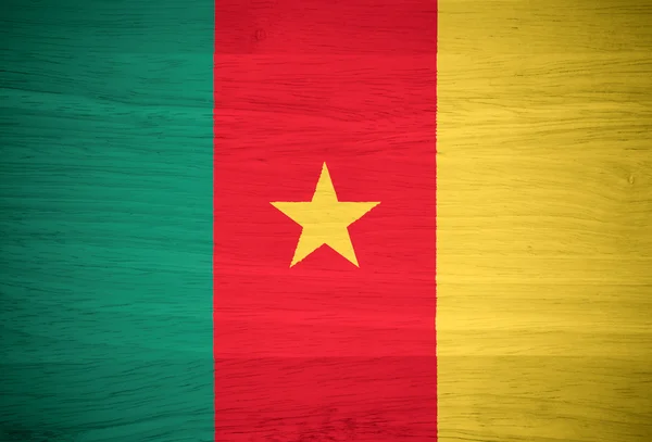 Vlajka Kamerunu na texturu dřeva — Stock fotografie