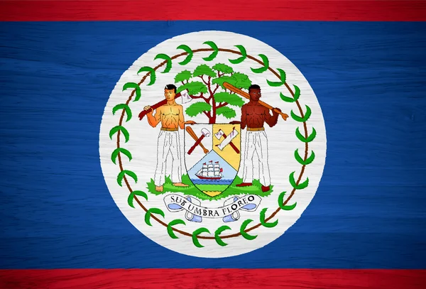 Belize flag on wood texture — Stock Photo, Image