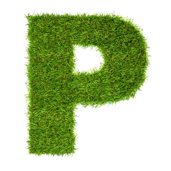Buchstabe p aus grünem Gras isoliert auf weiß — Stockfoto