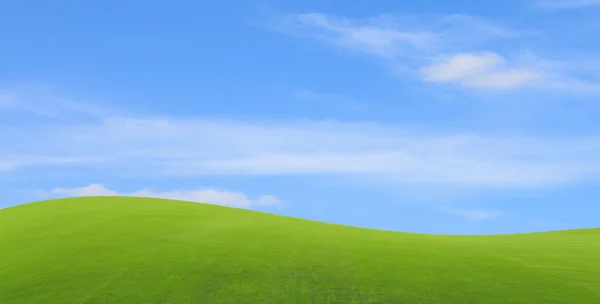Campo verde con cielo azul — Foto de Stock