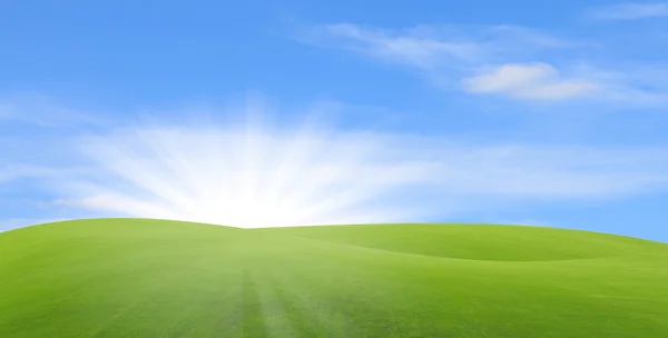 Green field with blue sky — Stock Photo, Image