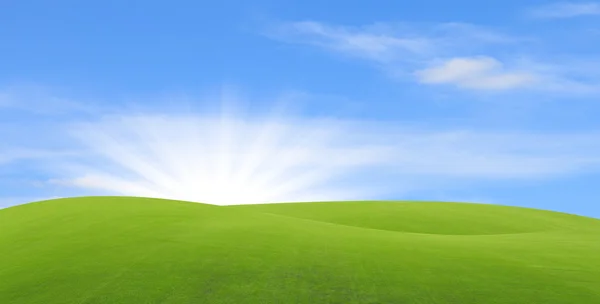 Green field with blue sky — Stock Photo, Image