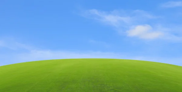 Green field with blue sky — Stock Photo, Image