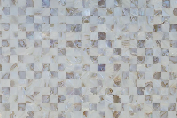 Oyster shell textured mosaic tiles in neutral color — Stock Photo, Image