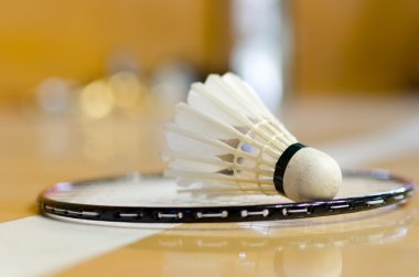 Badminton Raket üzerinde raketle