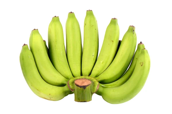 Ett gäng gröna bananer. — Stockfoto