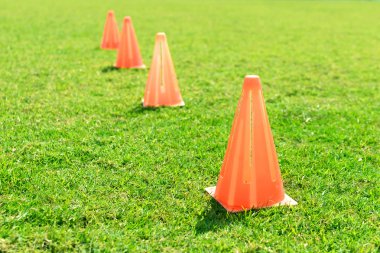 Futbol koni ayakta çimenlerin üzerinde.