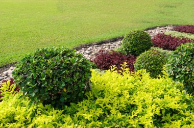 Landscaped Formal Garden.