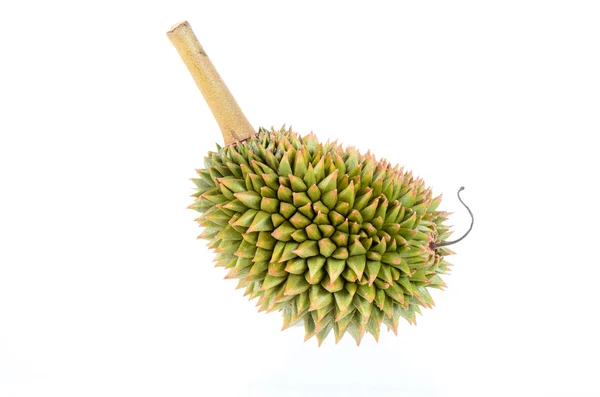 Young durian on white background — Stock Photo, Image