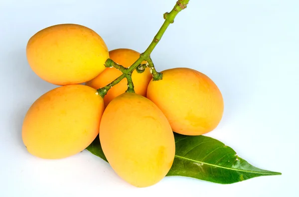 Γλυκιά κίτρινη marian δαμάσκηνο, δαμάσκηνο mango, Ταϊλάνδη — Φωτογραφία Αρχείου