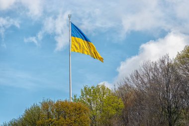 Ukrayna bayrağı gökyüzüne karşı rüzgarda dalgalanıyor.