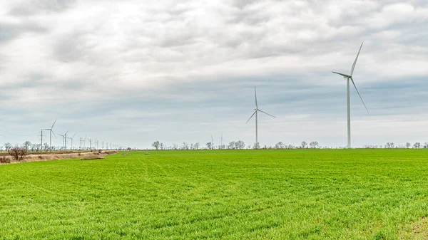 Wind turbines generating electricity in a green field. Green power generation concept.