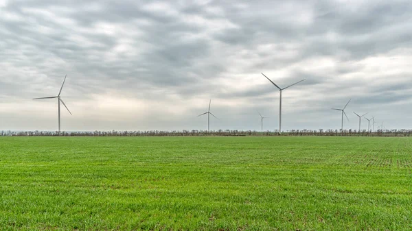 Wind turbines generating electricity in a green field. Green power generation concept.