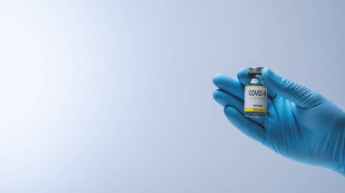 Doctor hands in blue latex gloves holding glass vial with medicine.  Vaccination and Medical concept.