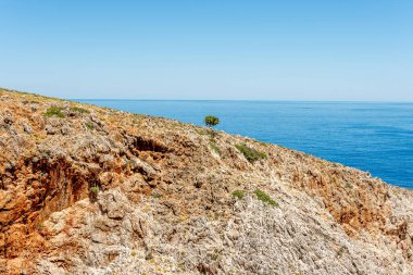 Deniz altyapısı olan kayalıklardaki ağaç insansız hava aracı tarafından gökyüzü görüntüsü.