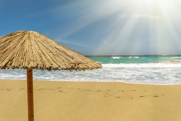 Empty Sandy Beach Umbrellas Summer Sun Light — Stockfoto