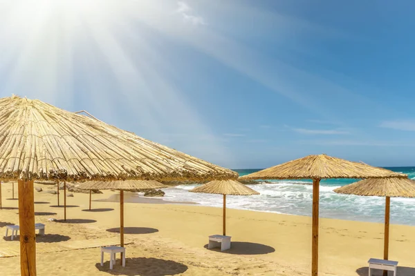 Empty Sandy Beach Umbrellas Summer Sun Light — Stockfoto