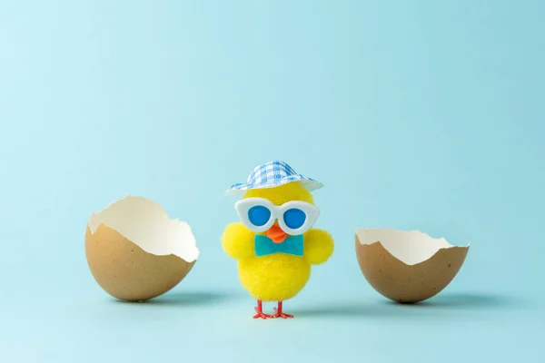 Chicken Cracked Easter Eggs Pastel Blue Background Easter Minimal Concept — Φωτογραφία Αρχείου