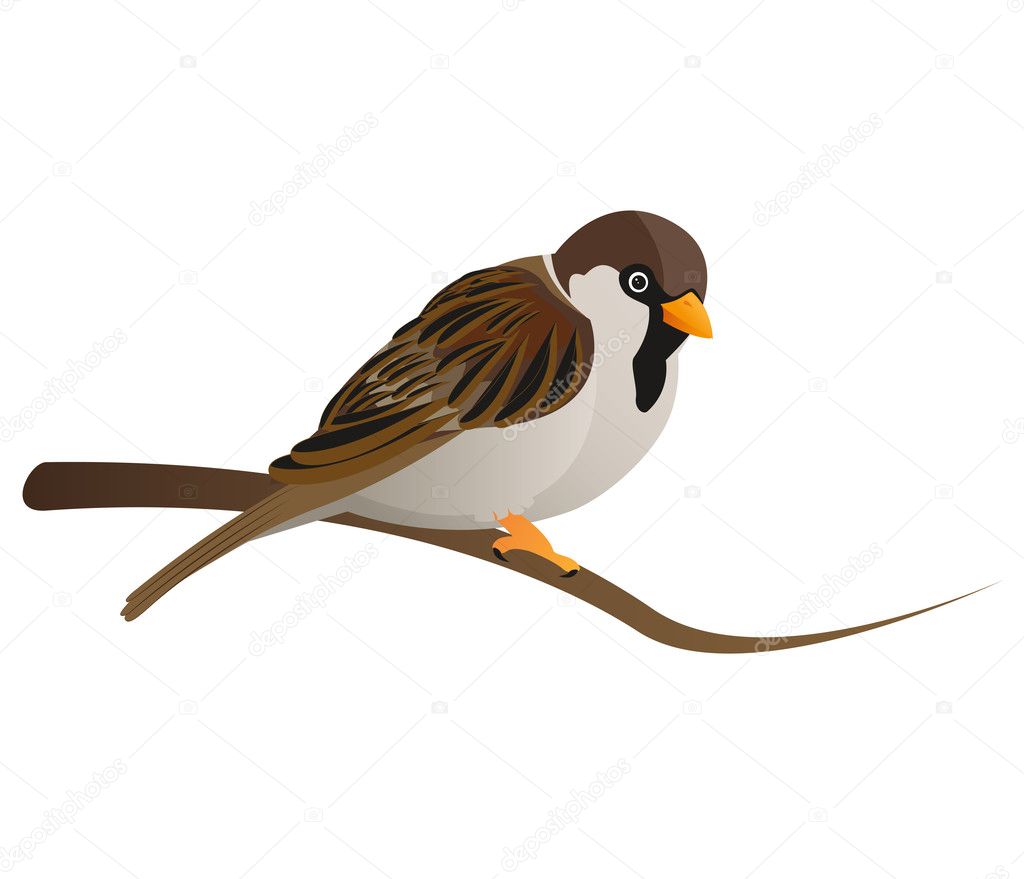 鳥ストックベクター ロイヤリティフリー鳥イラスト Depositphotos 鳥ストックベクター ロイヤリティフリー鳥イラスト Depositphotos